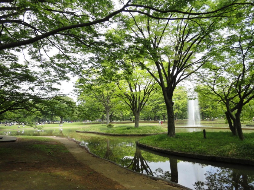 代々木公園