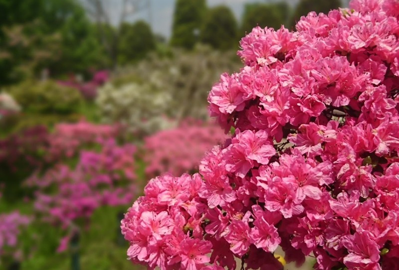 練馬の時計店17選！電池交換や修理、買取販売のおすすめ店