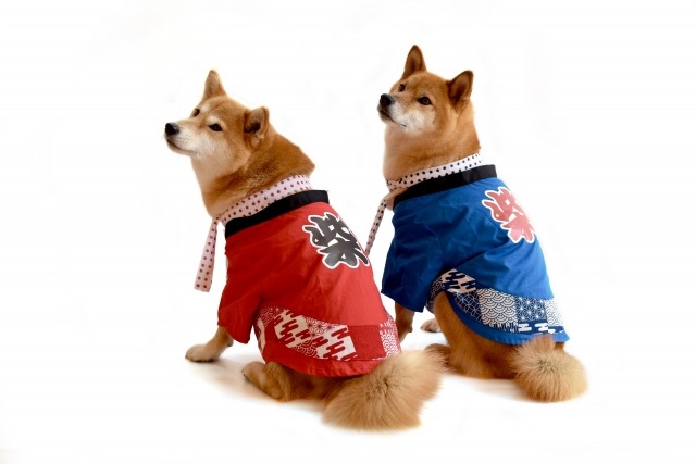 AppleWatchの方がコスパも良い