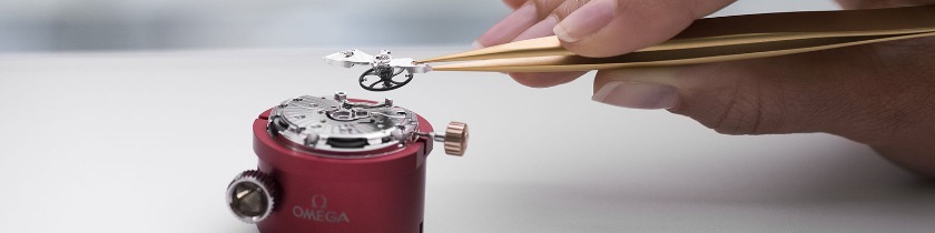 クロノメーター検査を通している