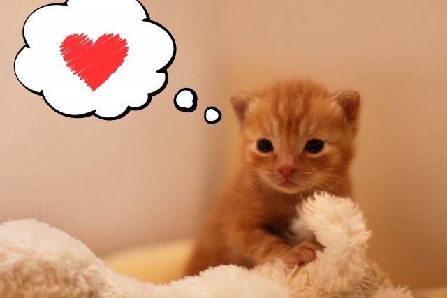 Lenya スマートウォッチの口コミ