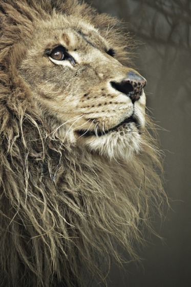 SBEB013の特徴・機能