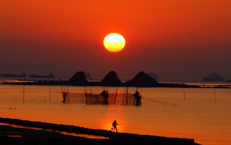 浅口市周辺の時計店は大手家電店中心に販売