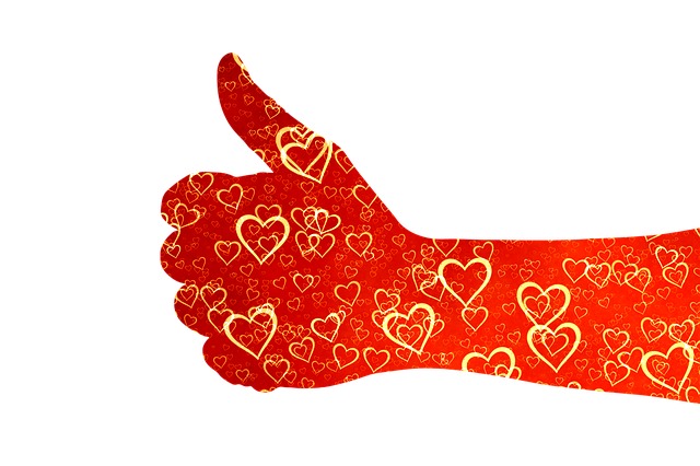 宇宙飛行時に実証された高い性能