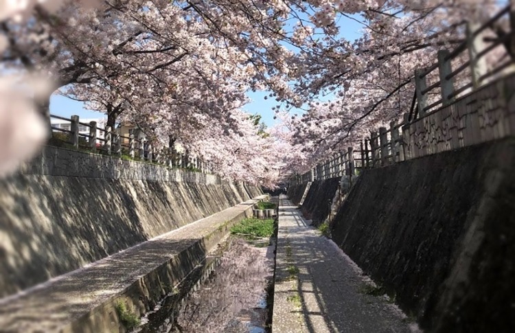 福岡市城南区の電池交換・時計修理店3選