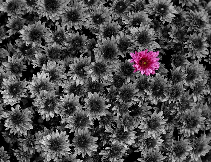 御徒町の時計店：サテンドール御徒町店の特徴・品揃え