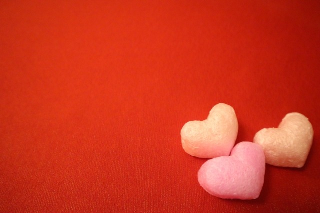 一部の愛好家から人気が高い