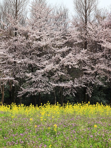 さいたま市北区の時計店！電池交換や修理、買取販売のおすす店