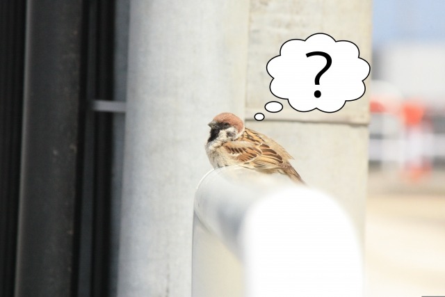 G-SHOCKのアナログとデジタルの違い