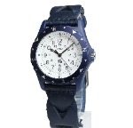 タイメックスコラボ TW2R11300