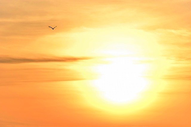 逆光になると見にくい