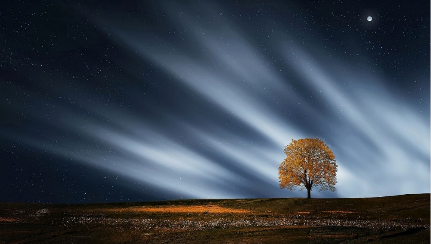 老舗ブランドボーム&メルシエのクリフトン ボーマティックとはどんな時計？