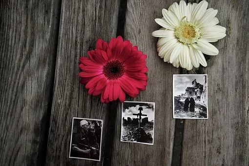 誰かに頼まなくても記念写真が撮れる