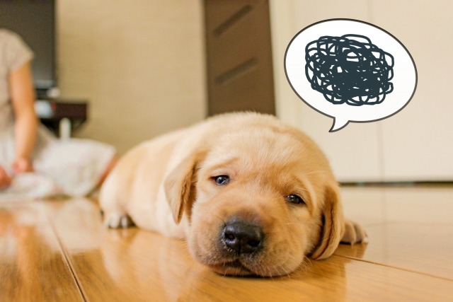 ワールドタイムが分かりにくい