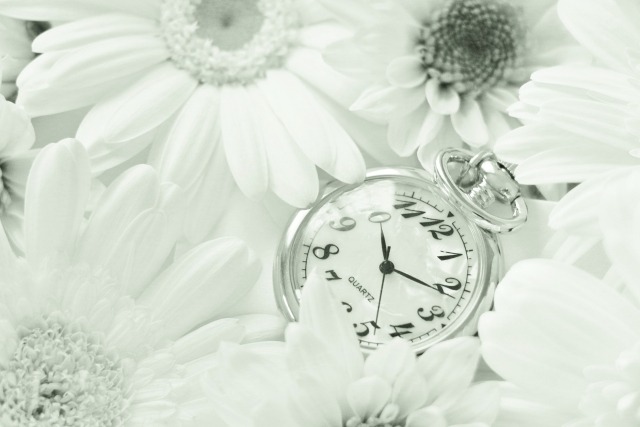 北千住の時計店：Beyond Coolの特徴・品揃え