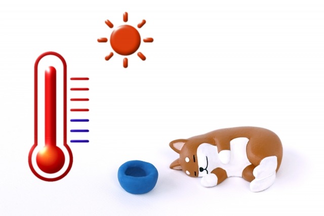 オーバーホールが必要