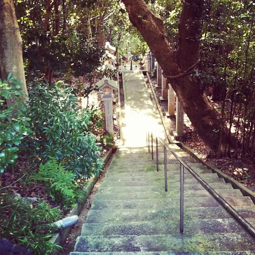 ②トレーニング時の疲労度を計測