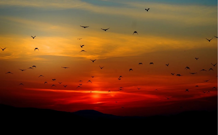 ロンジンのメンズ腕時計を知って自分に合う一本を見つけよう