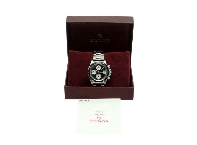 チュードル(チューダー)のステータスが上がった