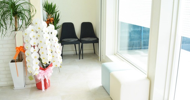 愛知のロレックス買取店：質タカハシライフ