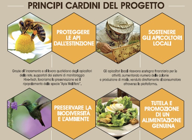 ②環境に配慮した腕時計が評判のGreen Time製