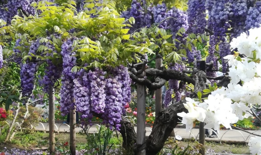 足利市の時計店：鈴木精工堂のメニュー・料金