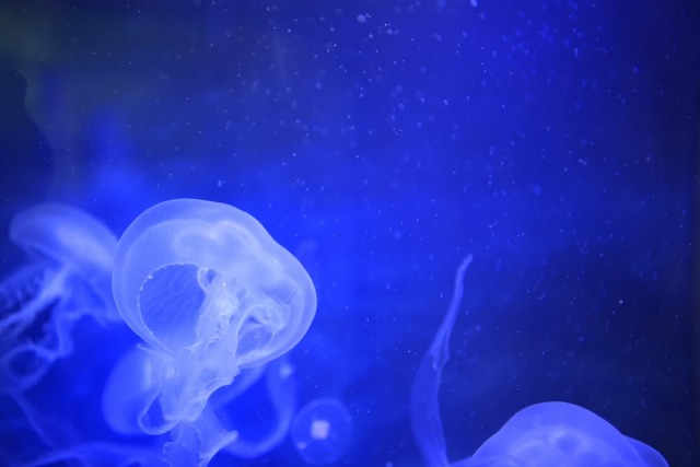 GA-110DC-2AJFの口コミ