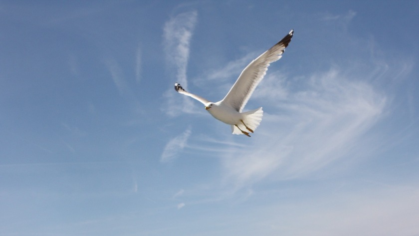 G-SHOCKのG-STEELはあくなき挑戦を続ける野心的なモデル