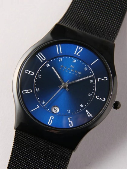 スカーゲン T233XLTMN