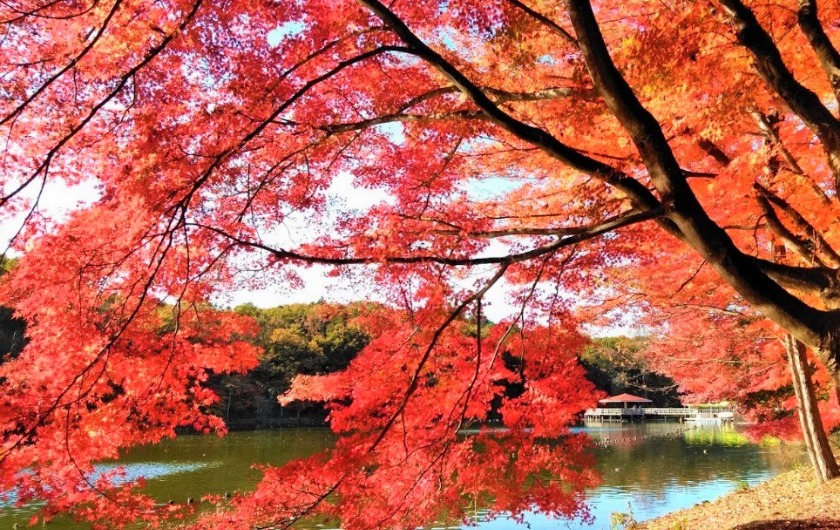 真岡市の時計買取店4選