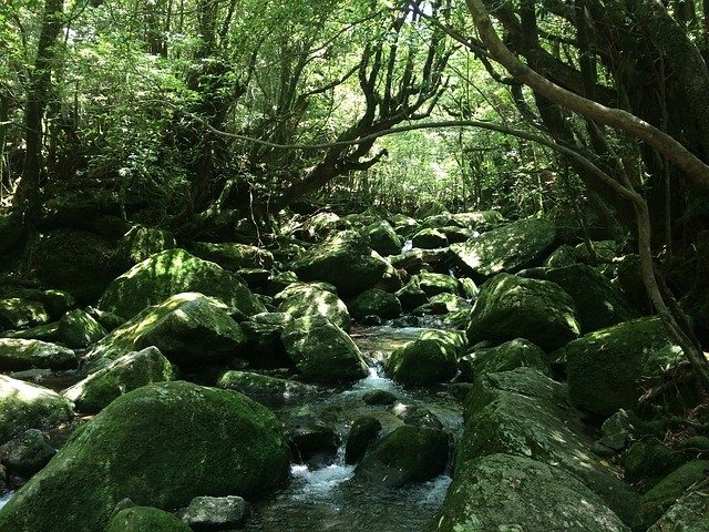 屋久島の温泉 日帰り入浴のおすすめや露天風呂 銭湯など紹介 旅go タビ ゴー