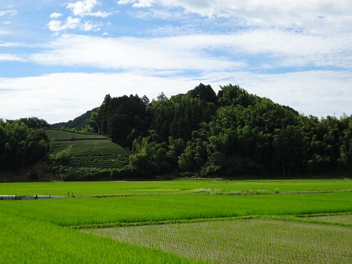 栃木弁はかわいい 栃木県の方言やなまり一覧 告白や会話について紹介 旅go タビ ゴー