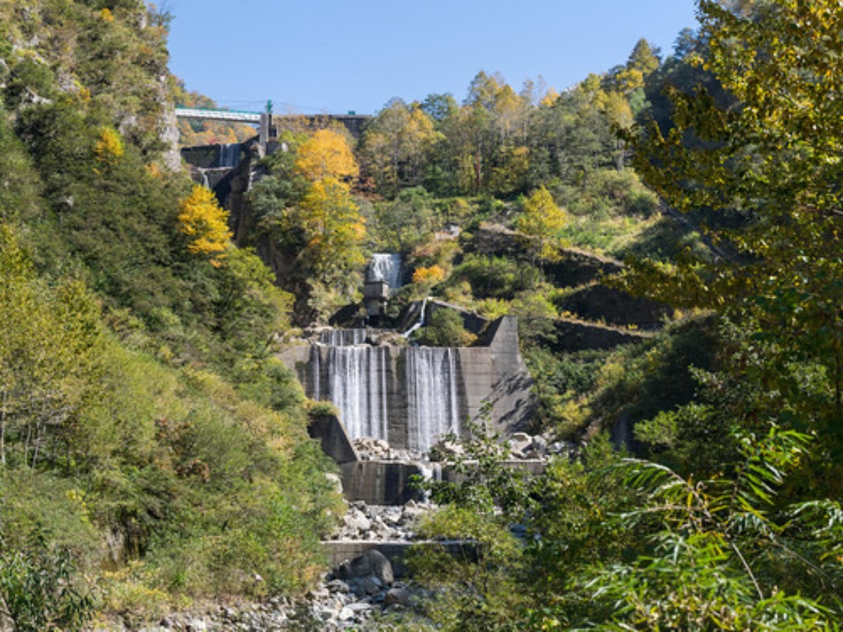 富山弁はかわいい 富山県の方言一覧 なーん きのどくな 旅go タビ ゴー