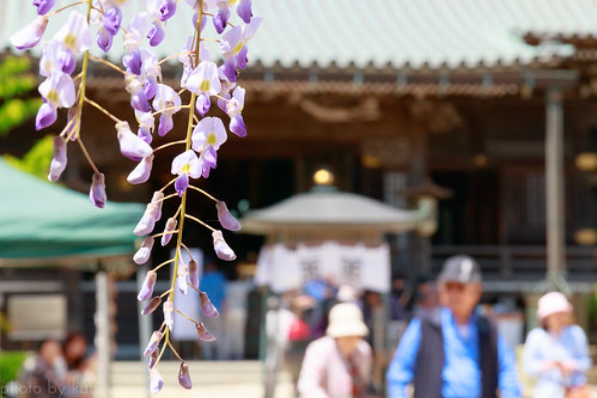 猿田神社(千葉・銚子)の御祭神は猿田彦大神!ご利益や御朱印について紹介