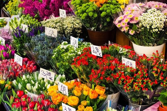 新宿の花屋さん 駅近のおすすめ店やおしゃれで安い人気店を紹介 3ページ目 旅go タビ ゴー