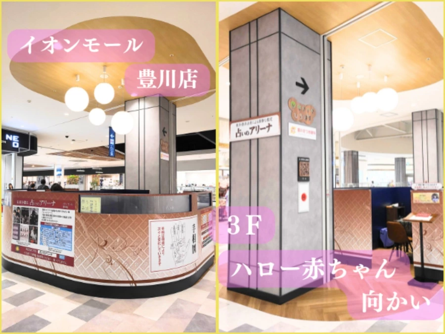イオンモール豊川店