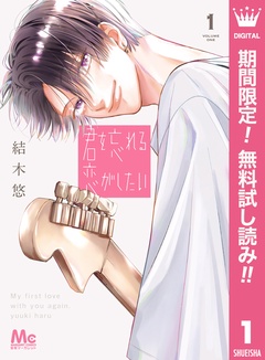 君を忘れる恋がしたい【期間限定無料】