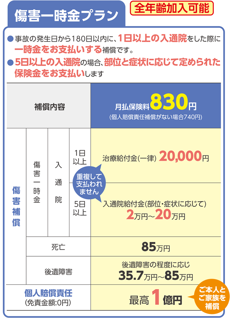 障害一時金プラン