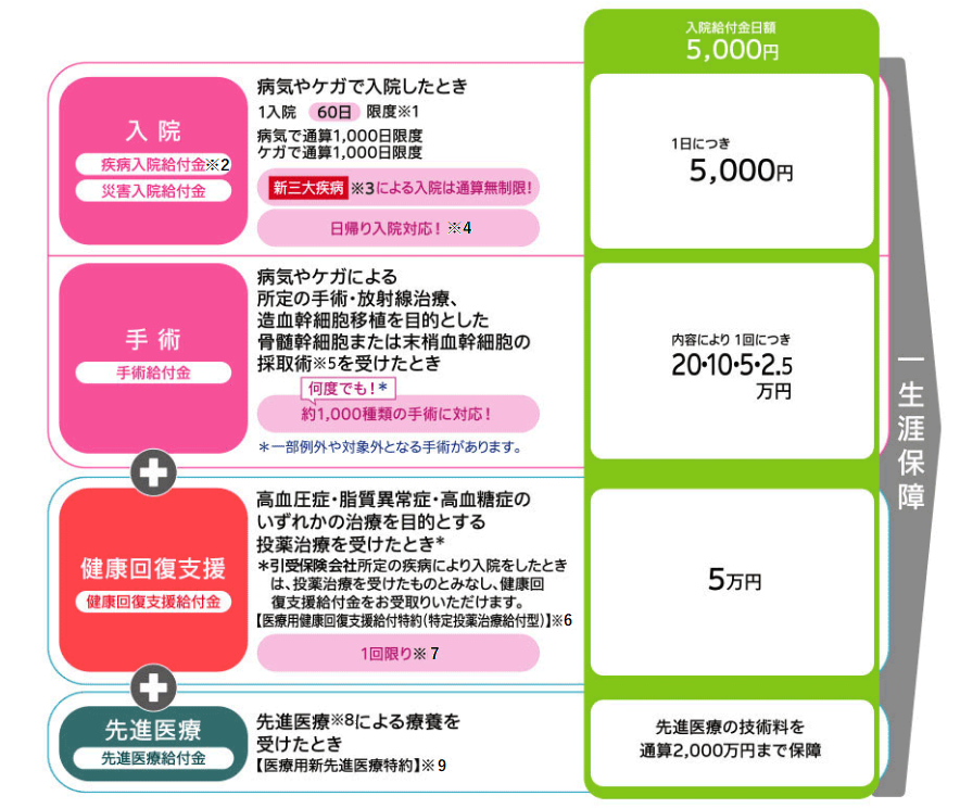 保障内容