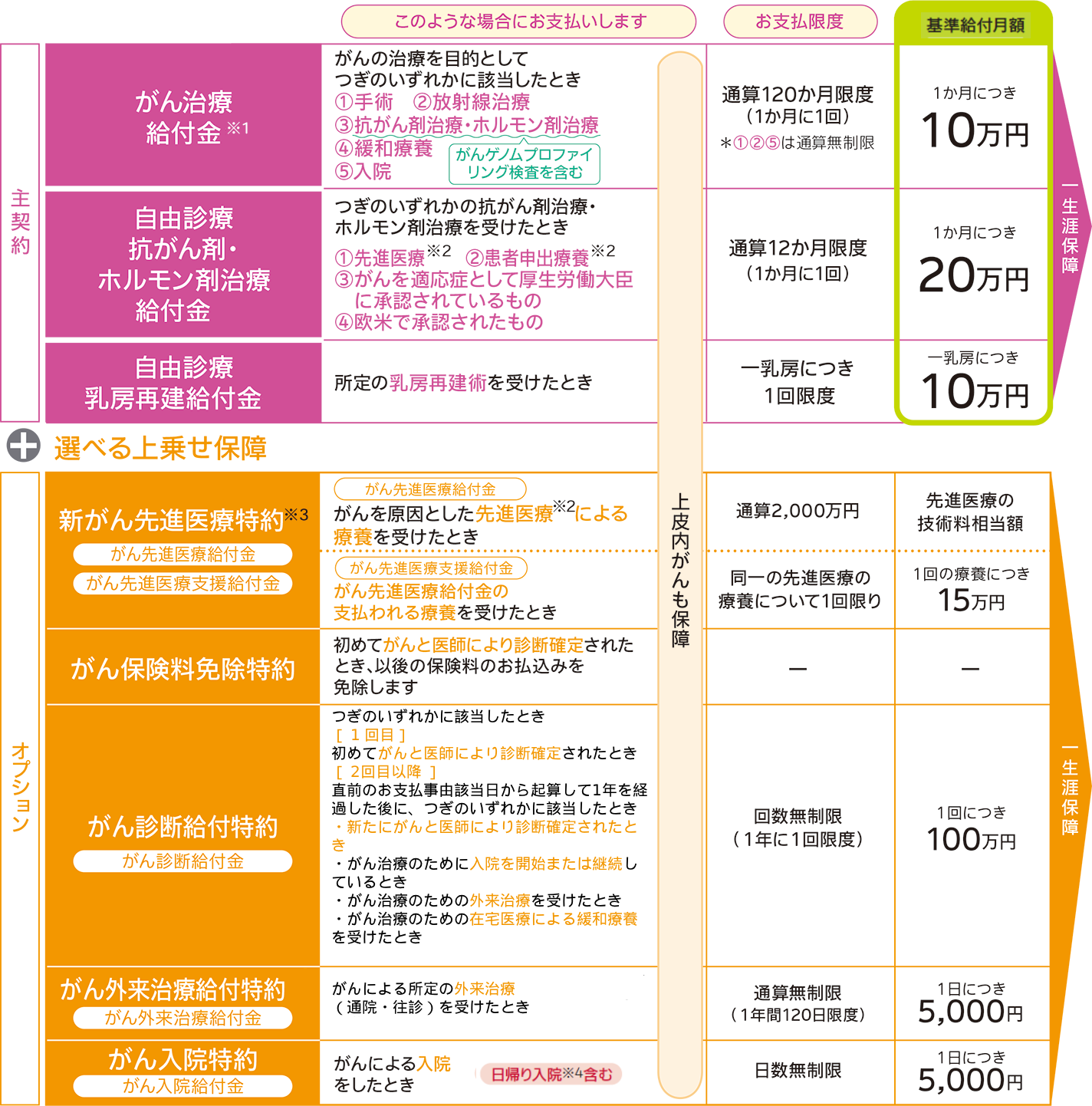 保障内容の表