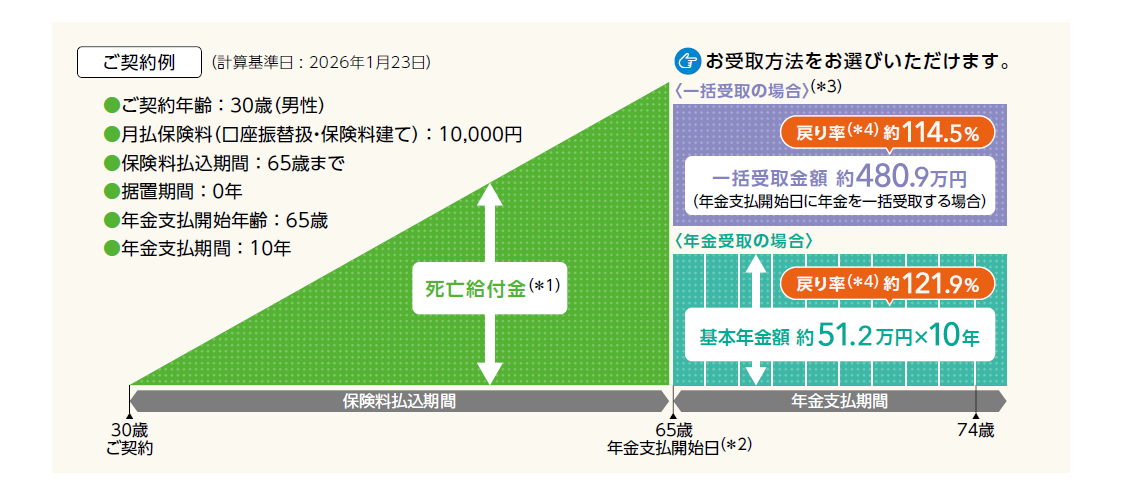 保障内容