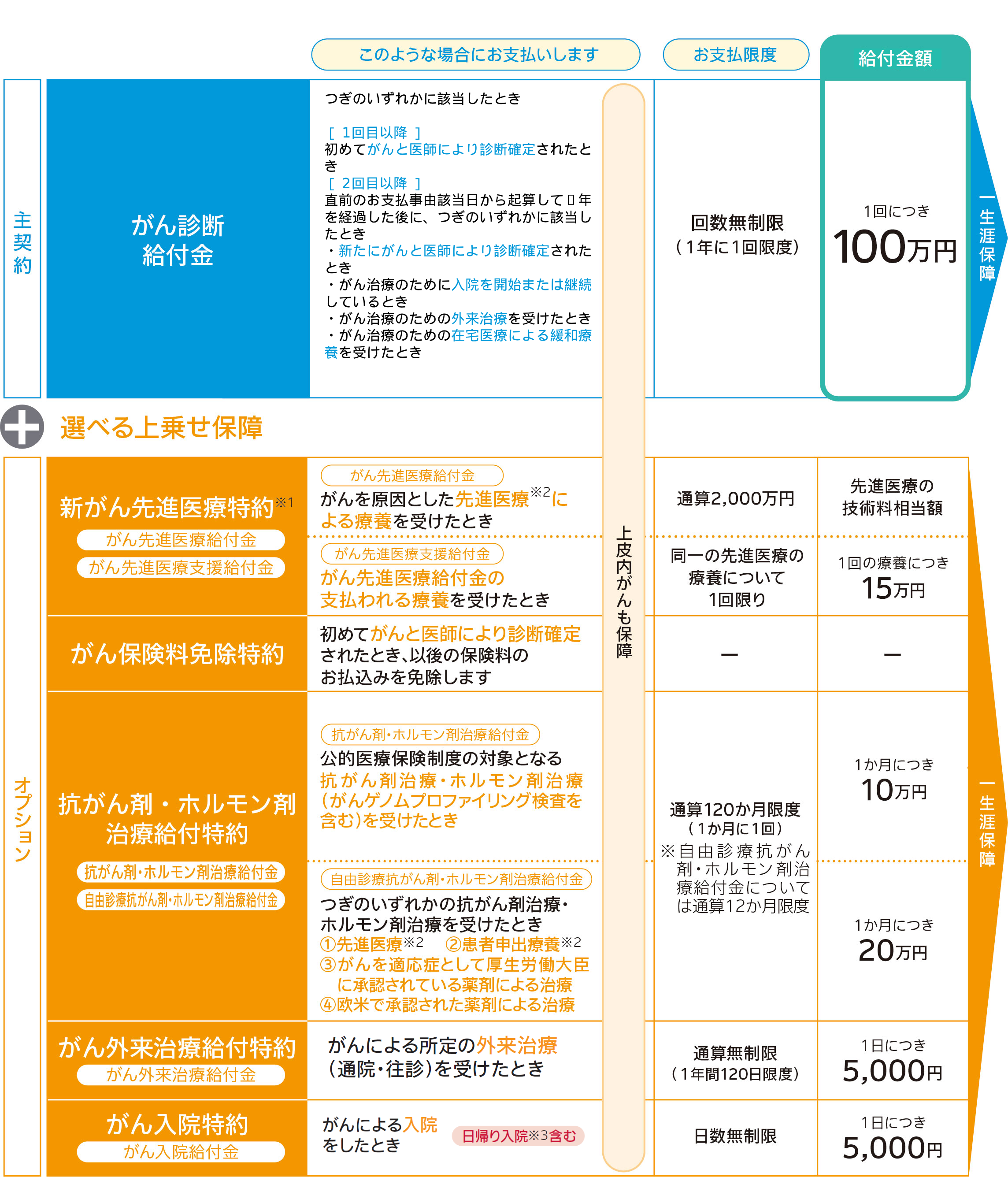 保障内容の表