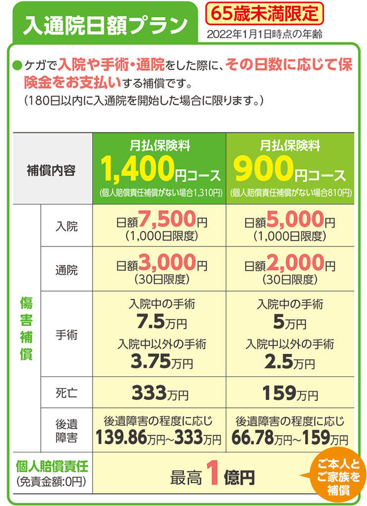 入通院日額プラン