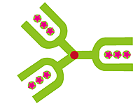 株式会社イースターのイメージ