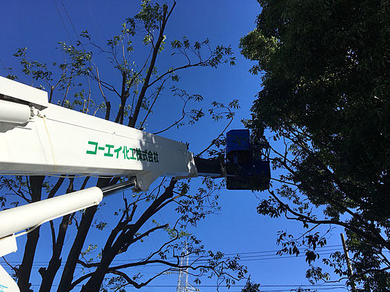 コーエイ化工株式会社のイメージ