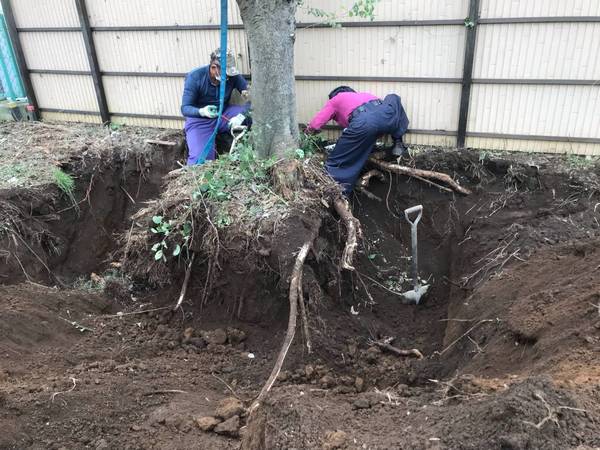 解体業社イメージ