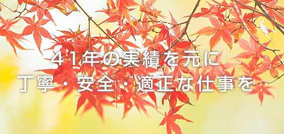 解体業社イメージ