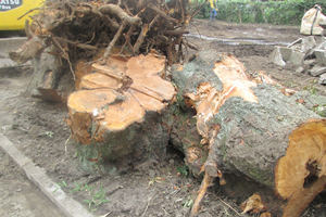 解体業社イメージ