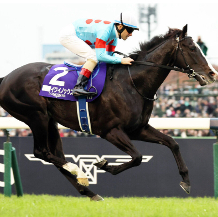マッチ☆競馬魂のアイコン