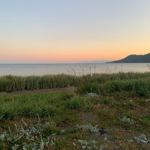 マシマシのアイコン